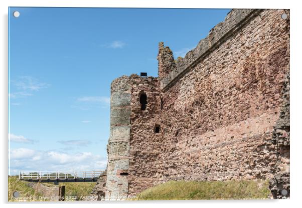 The remains of the west wall of Tantallon Castle, North Berwick, East Lothian, Scotland Acrylic by Dave Collins
