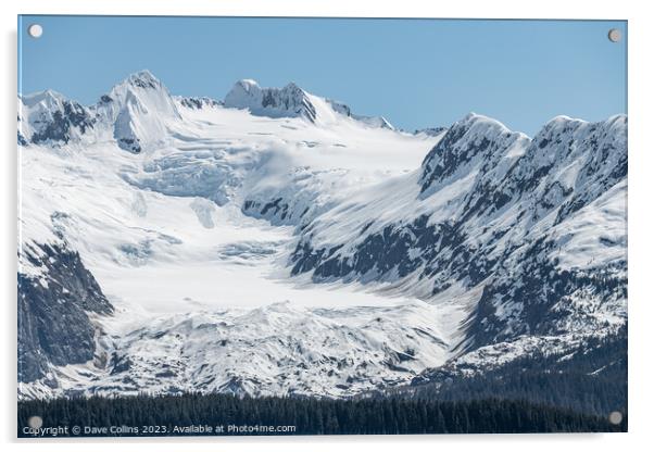 Snow Covered Glacier above the Harvard Arm in College Fjord, Alaska, USA Acrylic by Dave Collins