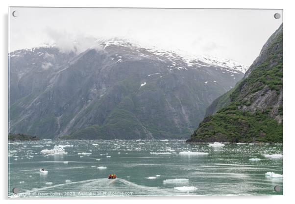 Small rib boat in ice and mist of the Tracy Arm Fjord, Alaska, USA Acrylic by Dave Collins