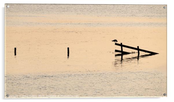 Silhouette of a bird on a fence during high tide in the Wash, England Acrylic by Dave Collins