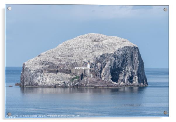Bass Rock Lighthouse and Nature Reserve in the Firth of Forth, Bass Rock, Scotland Acrylic by Dave Collins