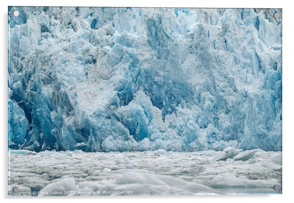 Ice field in front of South Sawyer Glacier Tidewater Glacier at the end of the Tracy Arm, Alaska, USA Acrylic by Dave Collins
