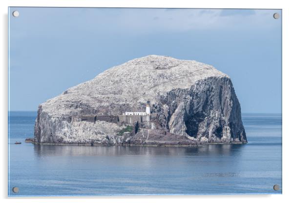Bass Rock Lighthouse and Nature Reserve in the Firth of Forth, Bass Rock, Scotland Acrylic by Dave Collins