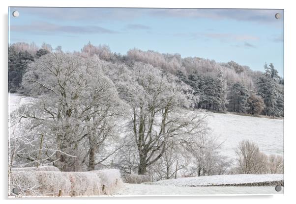 Snow Covered trees and fields in the Scottish Borders Acrylic by Dave Collins