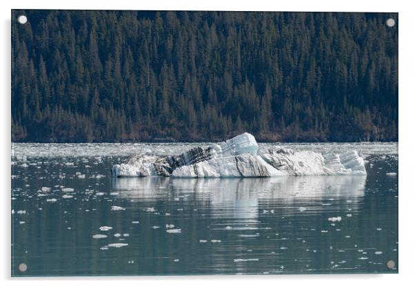 Strangely shaped growler (little iceberg) floating in College Fjord in Alaska, USA Acrylic by Dave Collins
