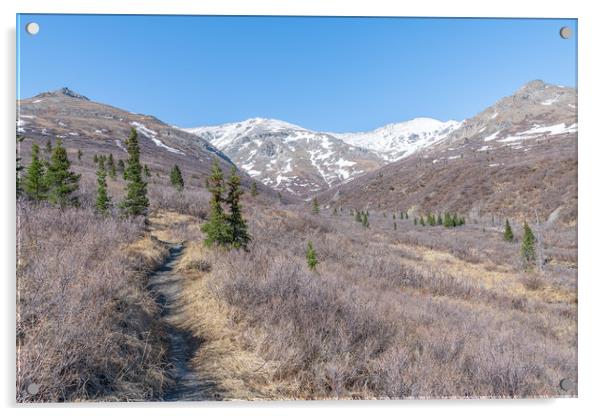 Savage River Alpine Trail in Denali National Park, Alaska, USA Acrylic by Dave Collins