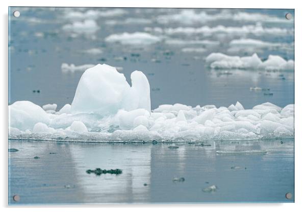 Close up of a growler - small iceberg in Alaska, USA Acrylic by Dave Collins