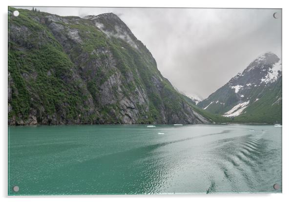 Ice floating in the Tracey Arm inlet, Alaska, USA Acrylic by Dave Collins