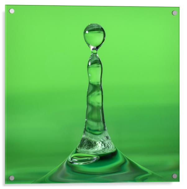 Water droplet landing in water on a green backgrou Acrylic by Dave Collins
