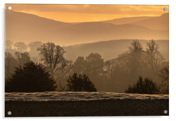 Early Morning mist in the hills. Acrylic by Dave Collins