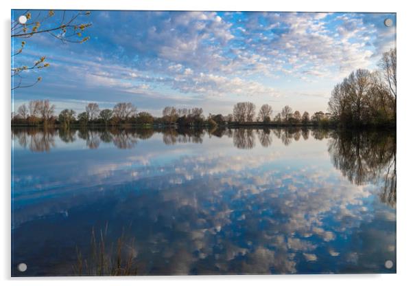 Reflections, Ellerton Park, Yorkshire, England Acrylic by Dave Collins