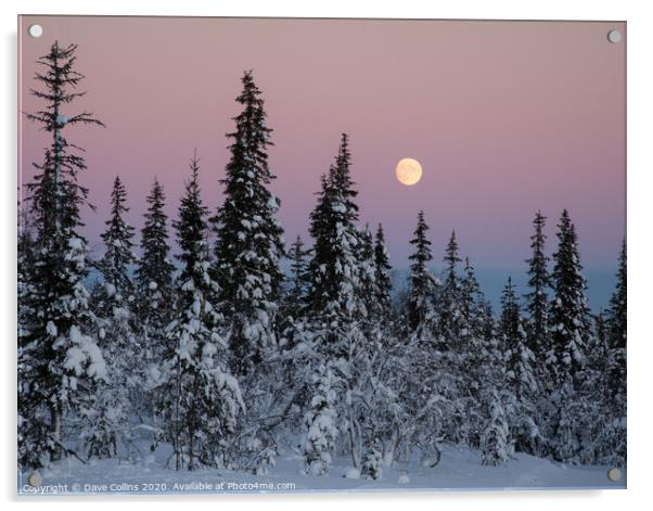 Winter Moonrise in Northern Finland Acrylic by Dave Collins