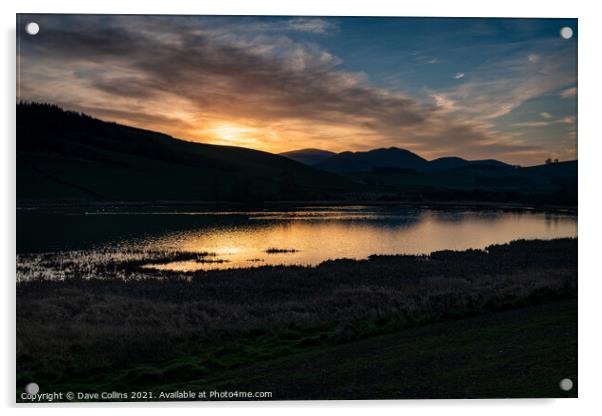 Sunrise, Yetholm Loch Nature Reserve, Scottish Borders, Great Britain Acrylic by Dave Collins