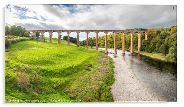 Leaderfoot Viaduct, Melrose, Scotland Acrylic by Dave Collins