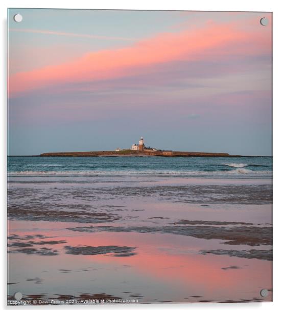 Coquet Island, Northumberland Acrylic by Dave Collins