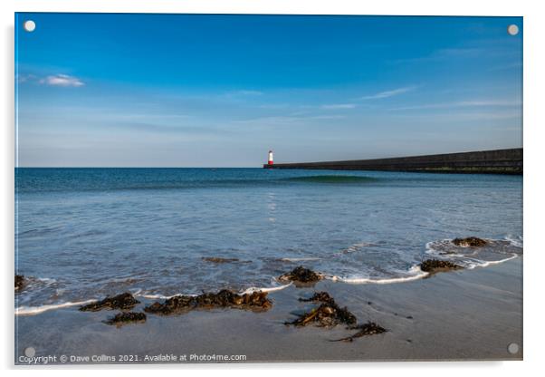 Harbour Entrance Light Tower, Berwick-Upon-Tweed Acrylic by Dave Collins