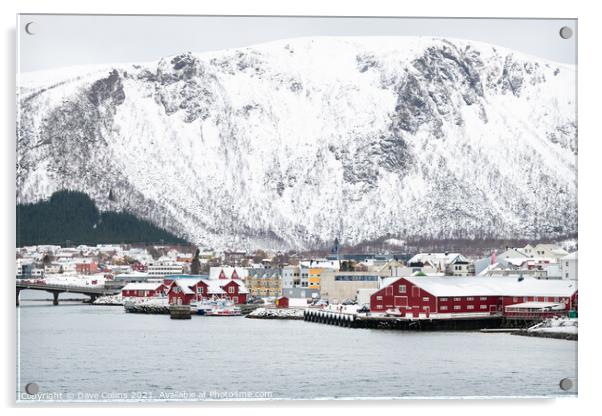 Stokmarknes,Nordland,Norway Acrylic by Dave Collins