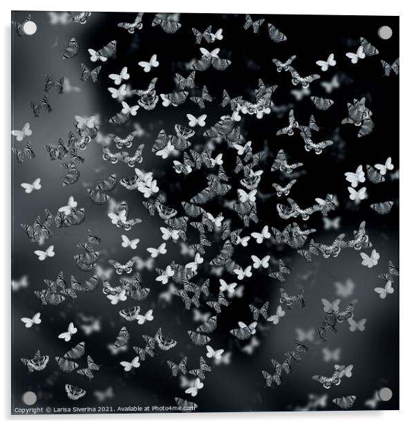 Night butterflies Acrylic by Larisa Siverina