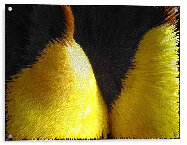 Abstract yellow pears on a black background Acrylic by Larisa Siverina