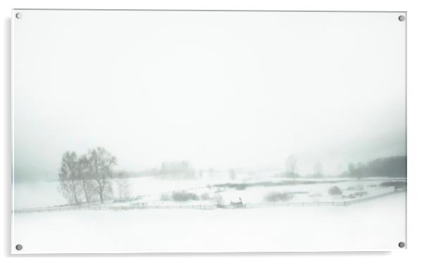 Winter rural landscape Acrylic by Larisa Siverina