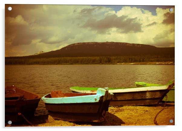 Boats on a lake Acrylic by Larisa Siverina