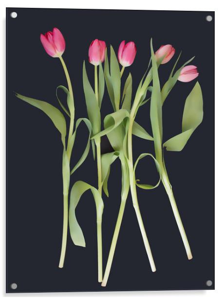 Pink tulips on black background Acrylic by Larisa Siverina