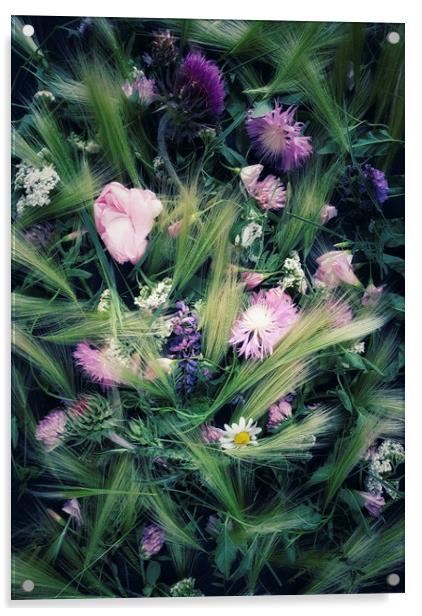 Meadow flowers Acrylic by Larisa Siverina