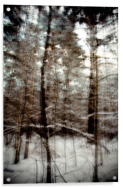 Winter forest Acrylic by Larisa Siverina