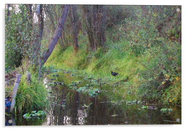 Mexican water district of Xochimilco.   Acrylic by Larisa Siverina