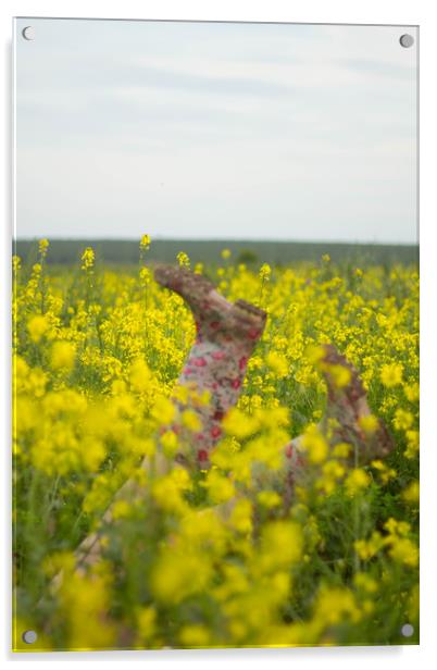 Yellow rape summer field Acrylic by Larisa Siverina