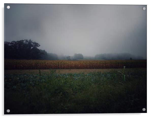 Foggy field Acrylic by Larisa Siverina