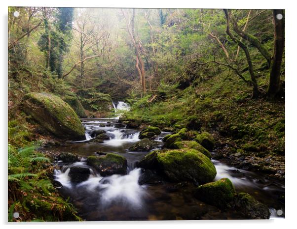 Dolgoch Falls. Acrylic by Colin Allen