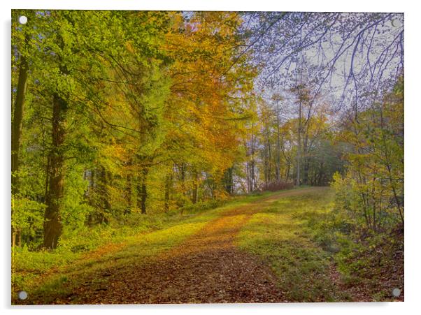 An Autumn Walk in Slebech Wood. Acrylic by Colin Allen