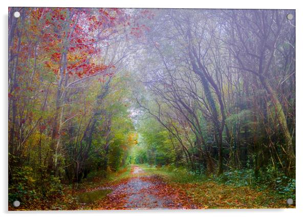 Autumn Mist in Slebech Wood in Pembrokeshire. Acrylic by Colin Allen