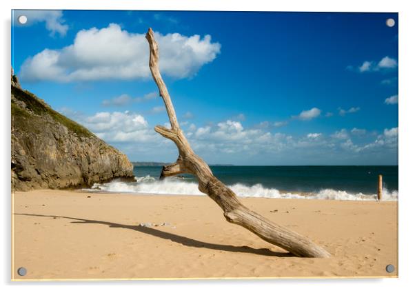 Barafundle Bay - Driftwood on the Shore. Acrylic by Colin Allen