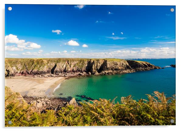 Caerfai Bay, Pembrokeshire Acrylic by Colin Allen
