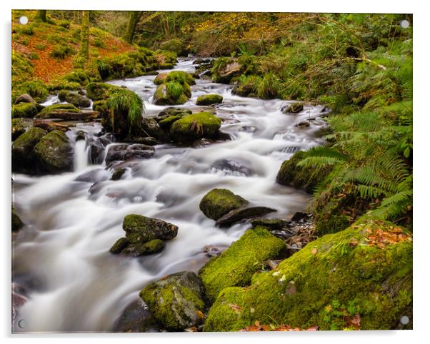 Dolgoch Falls in the Autumn. Acrylic by Colin Allen