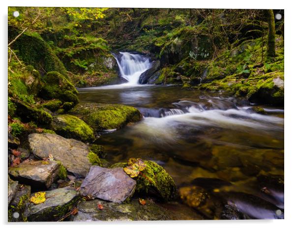 Dolgoch Falls, Gwynedd, Wales. Acrylic by Colin Allen