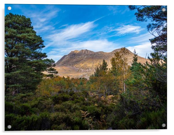 Slioch Mountain, Scotland. Acrylic by Colin Allen