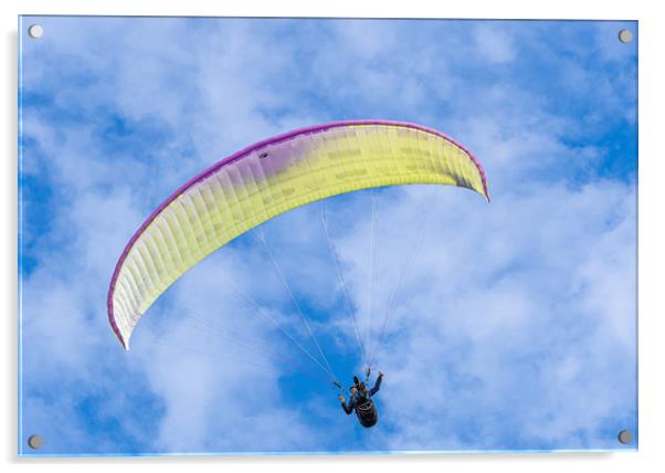 Paragliding at Newgale in Pembrokeshire, Wales. Acrylic by Colin Allen