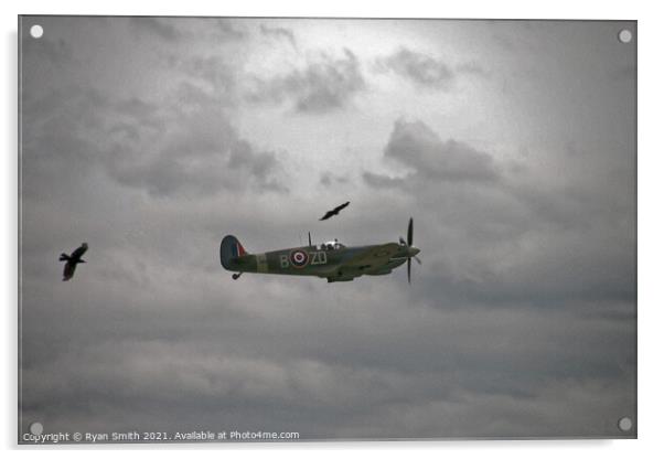 Spitfire on a cloudy day with birds flying alongside Acrylic by Ryan Smith