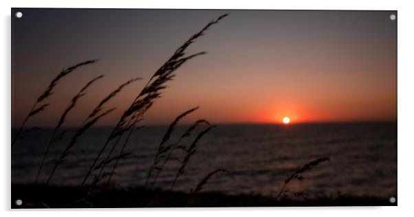Simple Sea Sunset, Wales Acrylic by Jenny Dignam
