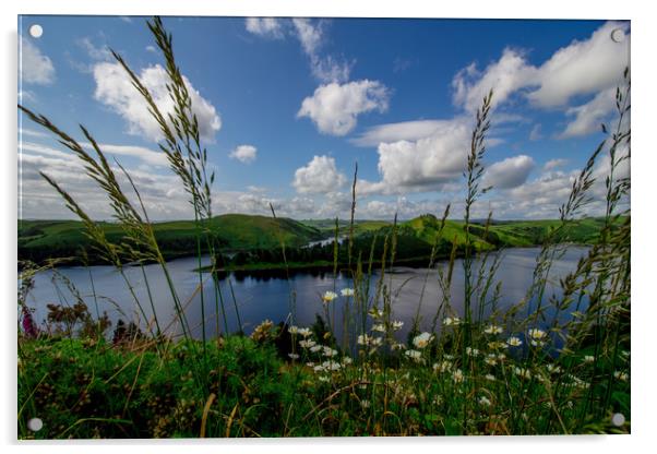 Clwedog Dam near Llanidloes, Mid Wales Acrylic by Jenny Dignam
