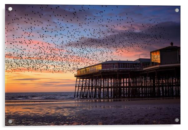 Starling Murmation at North Pier, Blackpool Acrylic by Phil Clayton
