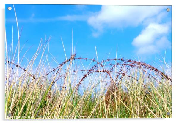 Rusty grass Acrylic by Dorian Phillips