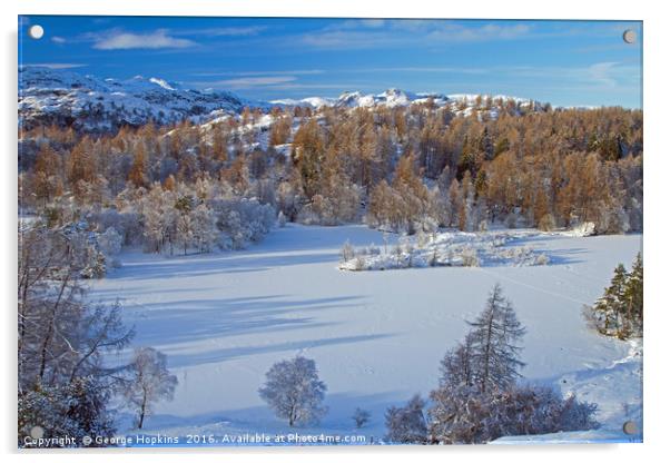 Tarn Hows Snows Acrylic by George Hopkins