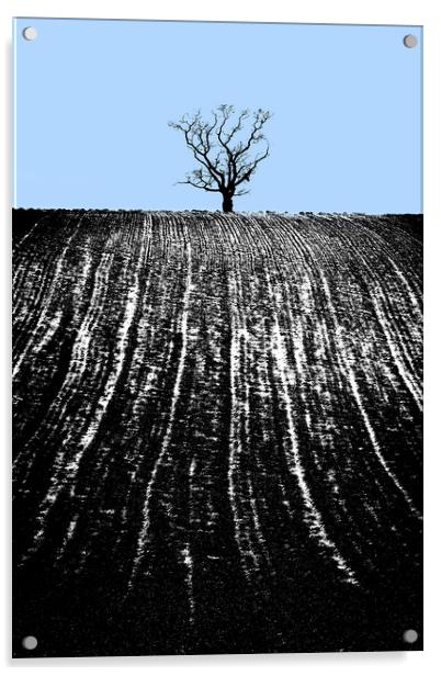 single tree in field Acrylic by mike morley