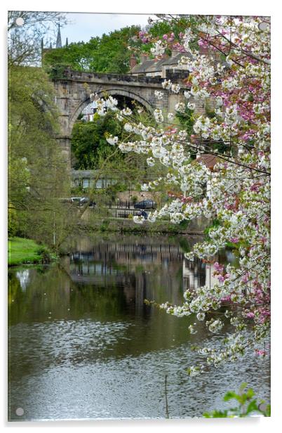 Knaresborough Viaduct with blossom Acrylic by mike morley