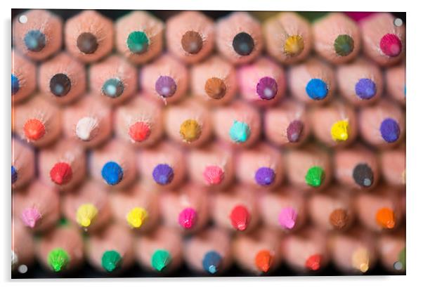 Coloured pencils. Acrylic by Bryn Morgan