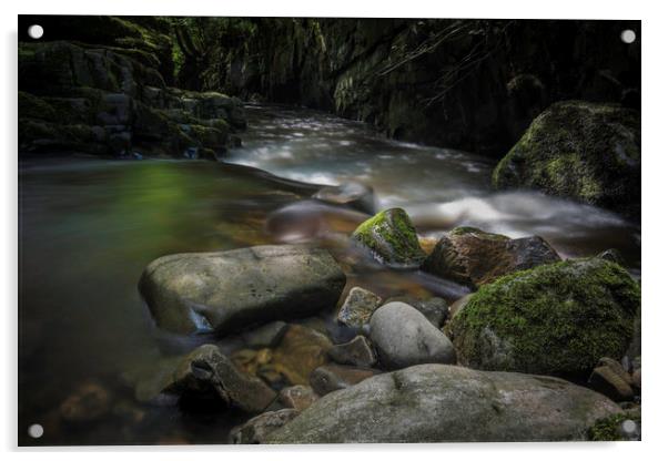 Fairy glen, on a stream in South Wales. Acrylic by Bryn Morgan